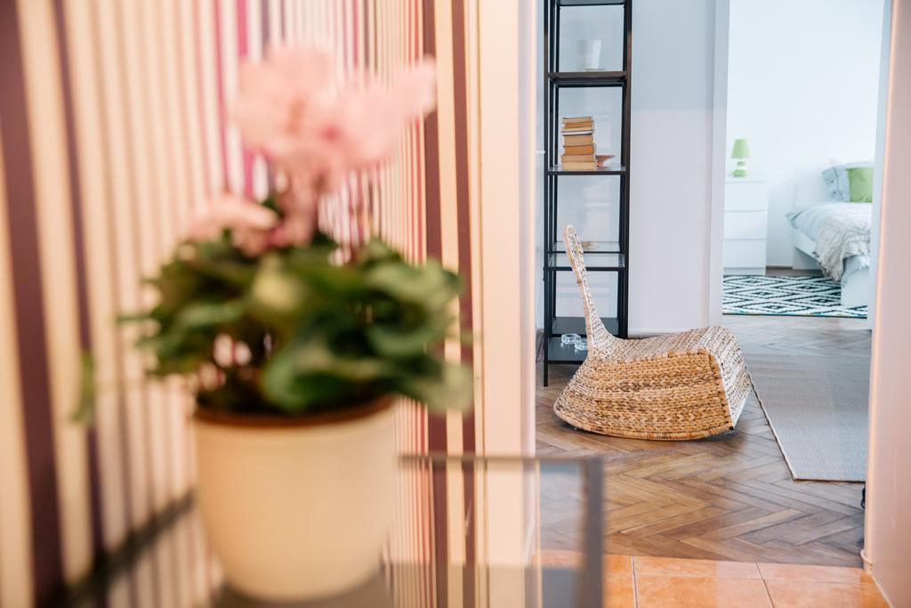 Neo Apartment Horea Kluž Exteriér fotografie