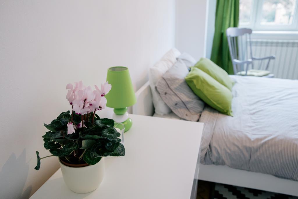 Neo Apartment Horea Kluž Exteriér fotografie